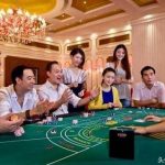 棋牌游戏赢钱三心法:专注、观察、果断-亚洲博彩网-博彩论坛-博彩策略网