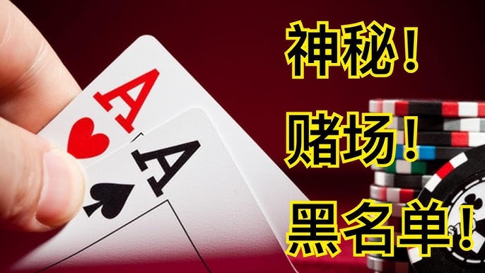 白菜论坛玩家经验：如何从博彩中获得最大收益？-亚洲博彩网-博彩论坛-博彩策略网